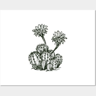 Cactus Cacti - Vintage Posters and Art